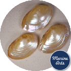8769-P1 - Pearl River Oyster Pair - Decor Pack